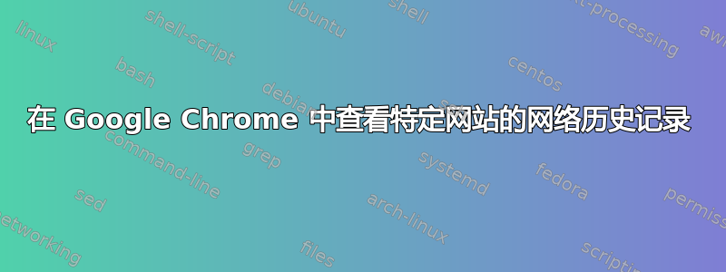 在 Google Chrome 中查看特定网站的网络历史记录