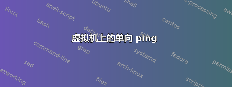 虚拟机上的单向 ping