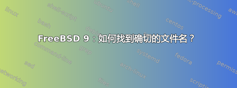 FreeBSD 9：如何找到确切的文件名？