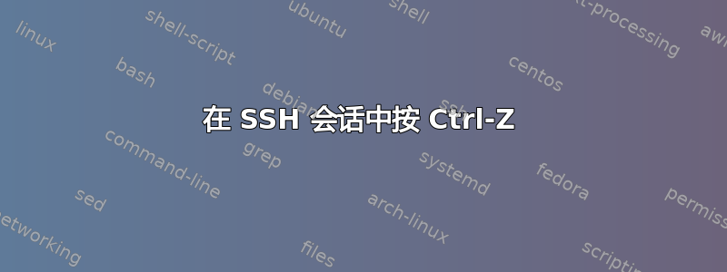 在 SSH 会话中按 Ctrl-Z