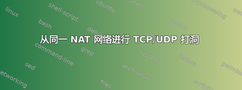 从同一 NAT 网络进行 TCP/UDP 打洞