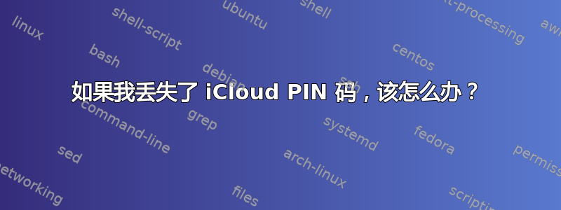 如果我丢失了 iCloud PIN 码，该怎么办？