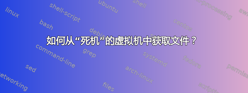 如何从“死机”的虚拟机中获取文件？