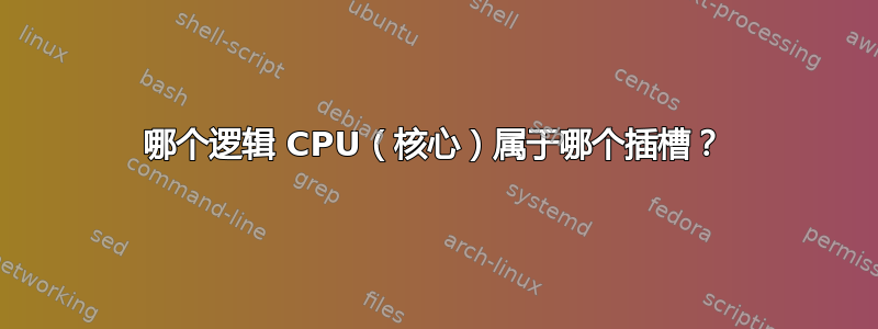 哪个逻辑 CPU（核心）属于哪个插槽？