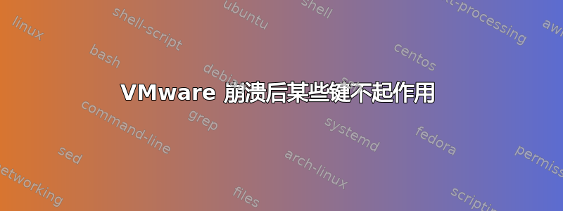 VMware 崩溃后某些键不起作用