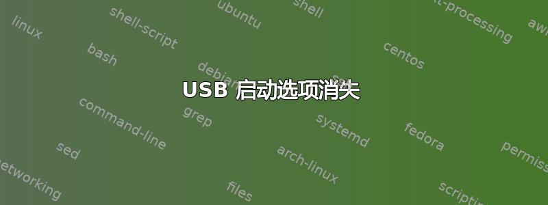 USB 启动选项消失