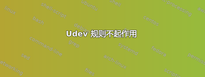 Udev 规则不起作用