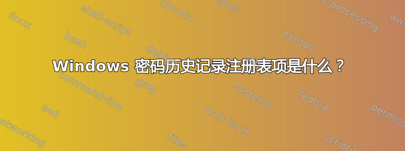 Windows 密码历史记录注册表项是什么？