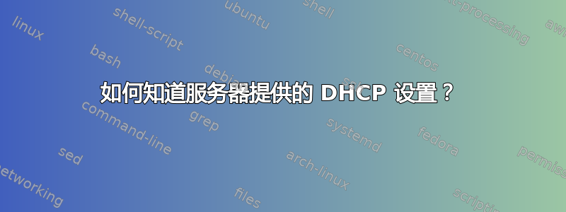 如何知道服务器提供的 DHCP 设置？