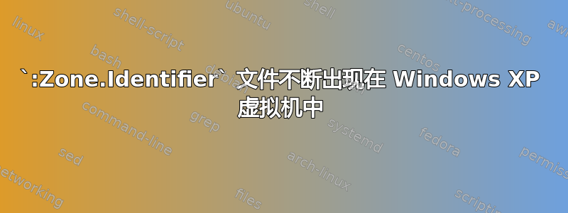 `:Zone.Identifier` 文件不断出现在 Windows XP 虚拟机中