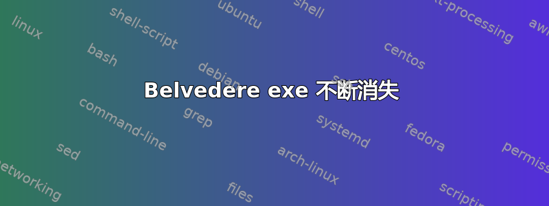 Belvedere exe 不断消失