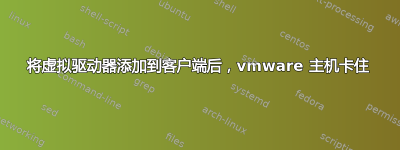 将虚拟驱动器添加到客户端后，vmware 主机卡住