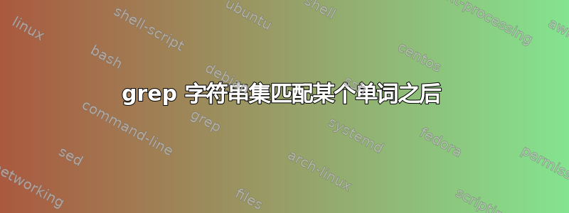 grep 字符串集匹配某个单词之后