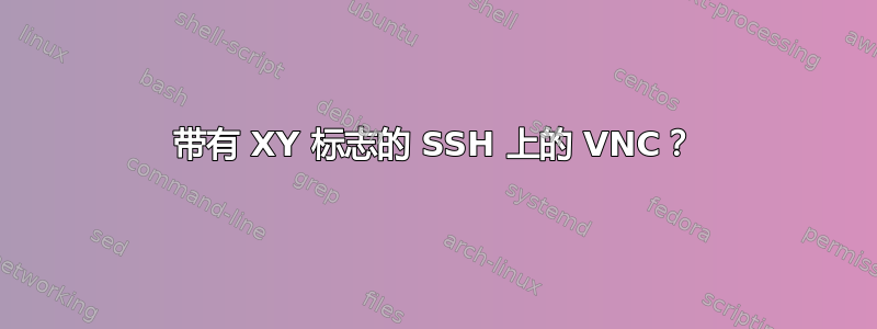 带有 XY 标志的 SSH 上的 VNC？