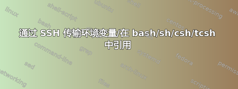 通过 SSH 传输环境变量/在 bash/sh/csh/tcsh 中引用