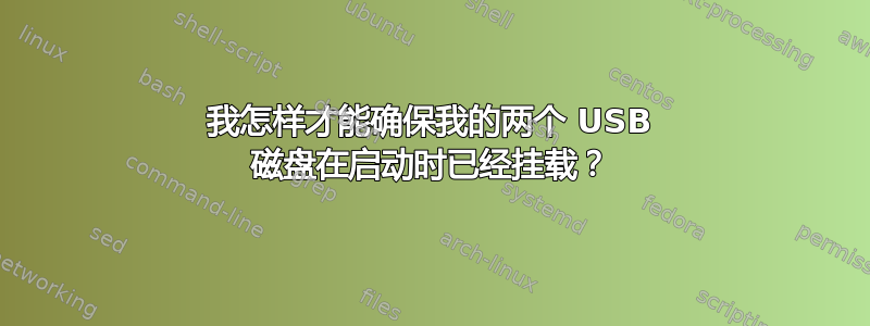 我怎样才能确保我的两个 USB 磁盘在启动时已经挂载？