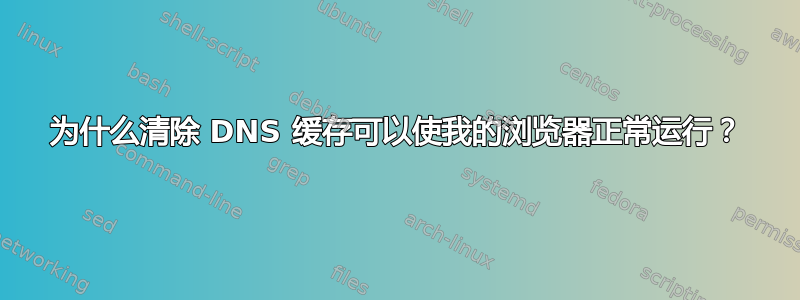 为什么清除 DNS 缓存可以使我的浏览器正常运行？