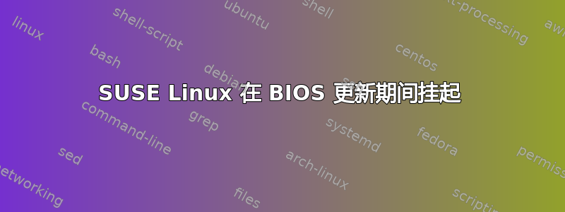 SUSE Linux 在 BIOS 更新期间挂起