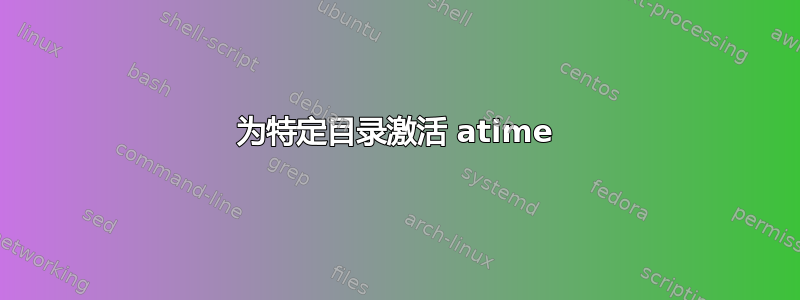 为特定目录激活 atime