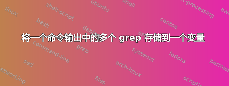 将一个命令输出中的多个 grep 存储到一个变量