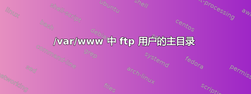 /var/www 中 ftp 用户的主目录