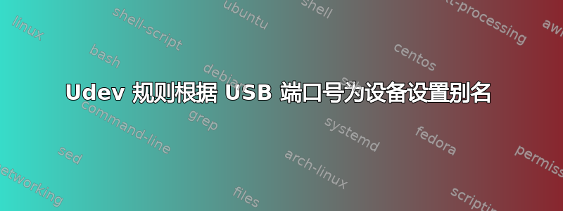 Udev 规则根据 USB 端口号为设备设置别名