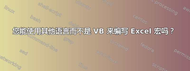 您能使用其他语言而不是 VB 来编写 Excel 宏吗？