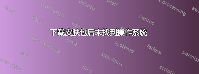 下载皮肤包后未找到操作系统