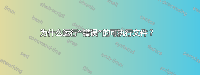 为什么运行“错误”的可执行文件？ 