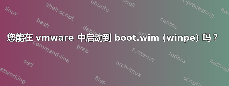 您能在 vmware 中启动到 boot.wim (winpe) 吗？