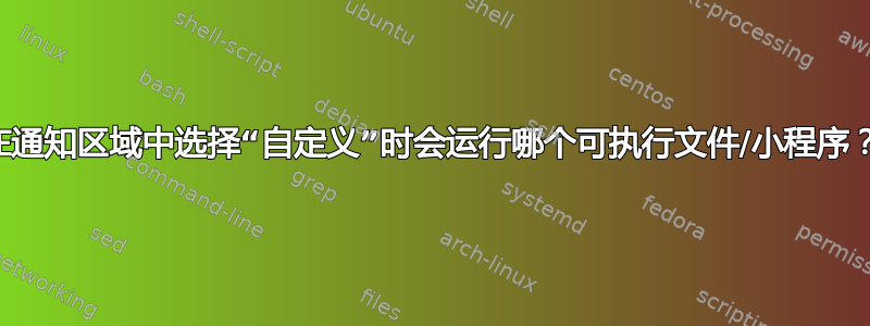 在通知区域中选择“自定义”时会运行哪个可执行文件/小程序？