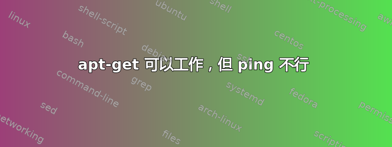 apt-get 可以工作，但 ping 不行