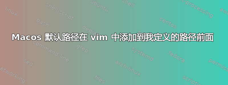 Macos 默认路径在 vim 中添加到我定义的路径前面