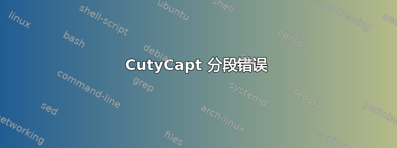 CutyCapt 分段错误