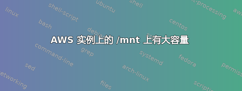 AWS 实例上的 /mnt 上有大容量