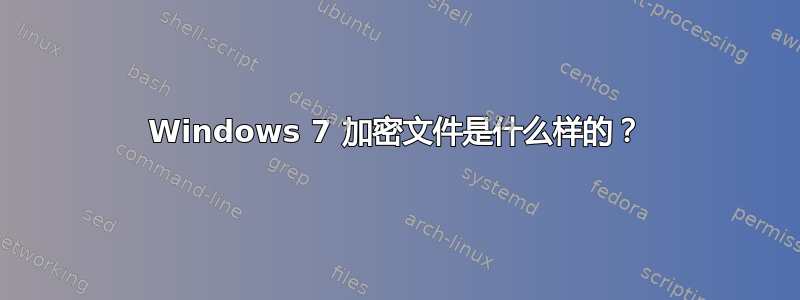 Windows 7 加密文件是什么样的？