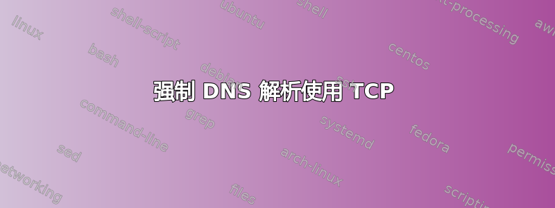 强制 DNS 解析使用 TCP