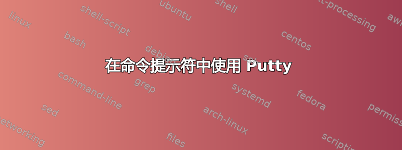 在命令提示符中使用 Putty