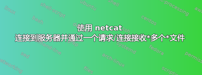 使用 netcat 连接到服务器并通过一个请求/连接接收*多个*文件