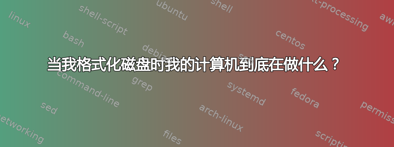 当我格式化磁盘时我的计算机到底在做什么？