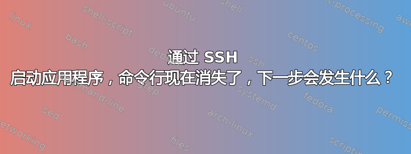 通过 SSH 启动应用程序，命令行现在消失了，下一步会发生什么？