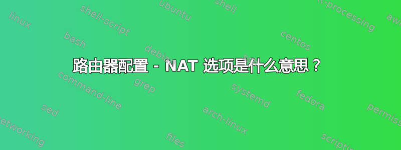 路由器配置 - NAT 选项是什么意思？