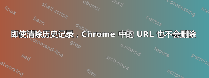 即使清除历史记录，Chrome 中的 URL 也不会删除