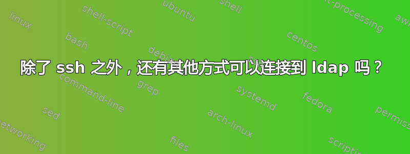 除了 ssh 之外，还有其他方式可以连接到 ldap 吗？