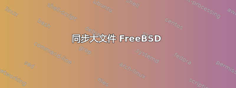 同步大文件 FreeBSD