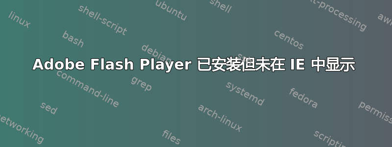 Adobe Flash Player 已安装但未在 IE 中显示