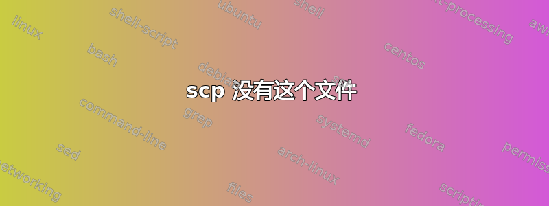 scp 没有这个文件