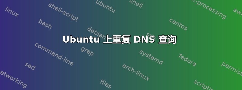 Ubuntu 上重复 DNS 查询