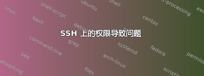 SSH 上的权限导致问题