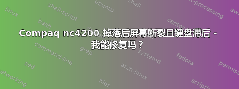 Compaq nc4200 掉落后屏幕断裂且键盘滞后 - 我能修复吗？